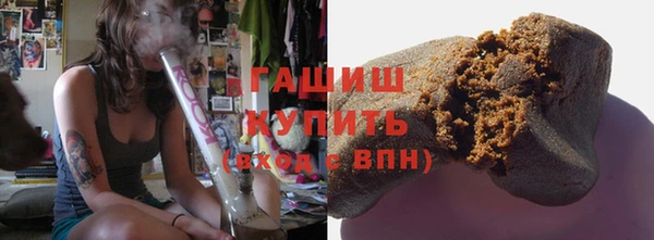 прущие грибы Заводоуковск