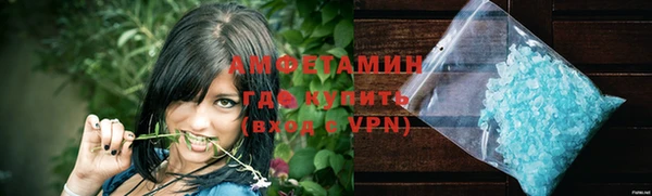 прущие грибы Заводоуковск