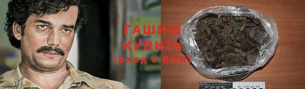 прущие грибы Заводоуковск
