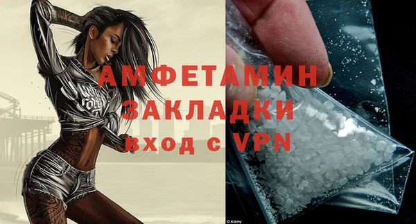 прущие грибы Заводоуковск