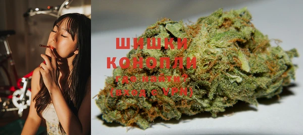 прущие грибы Заводоуковск
