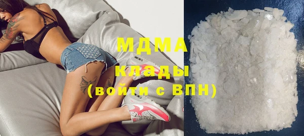 прущие грибы Заводоуковск