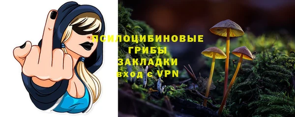 гашик Заволжск