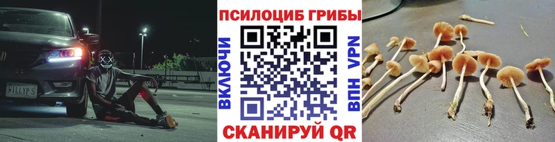 купить наркотик  Зея  Галлюциногенные грибы GOLDEN TEACHER 